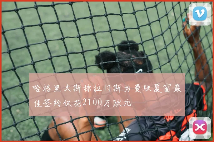 哈格里夫斯称拉门斯为曼联夏窗最佳签约仅花2100万欧元